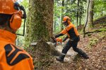 Benzinska motorna testera MS 881 - Slika 3